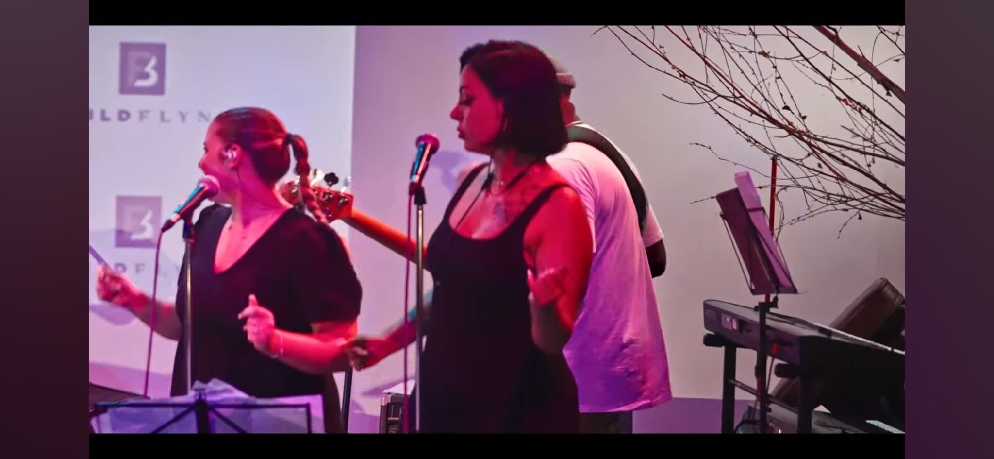 Soul Vibe Band live performance