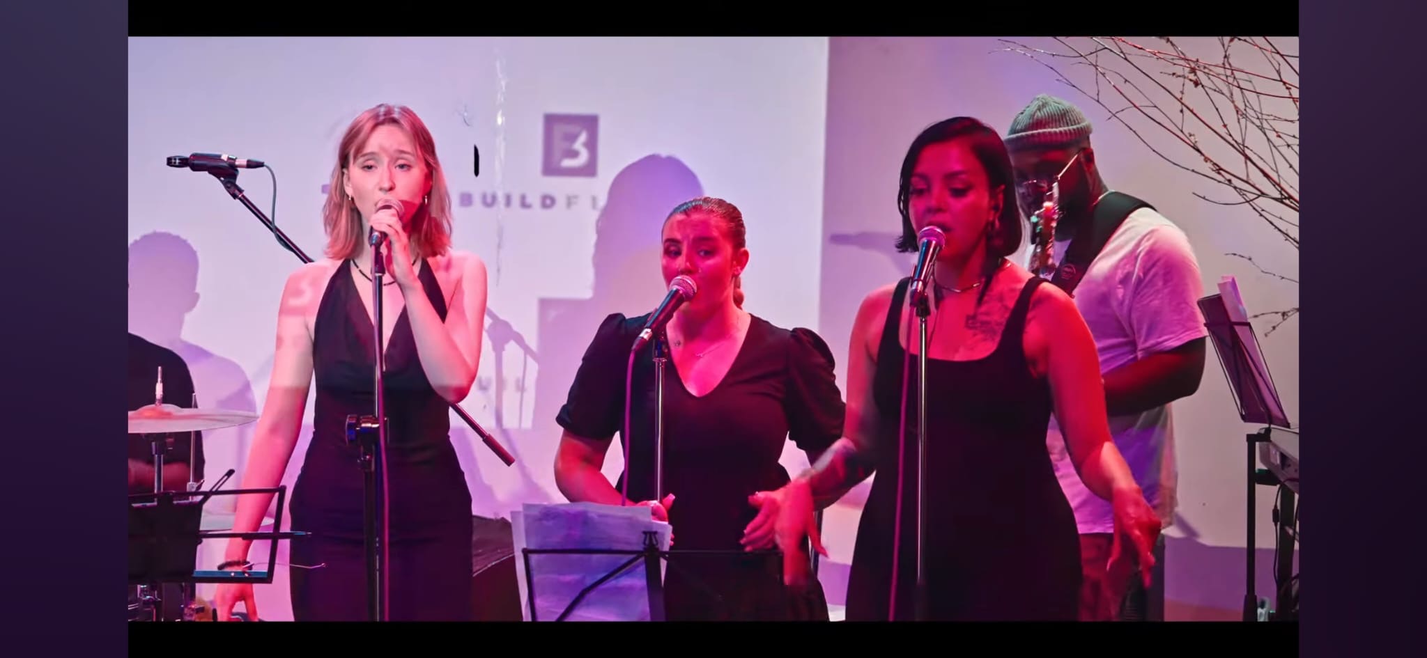 Soul Vibe Band live performance
